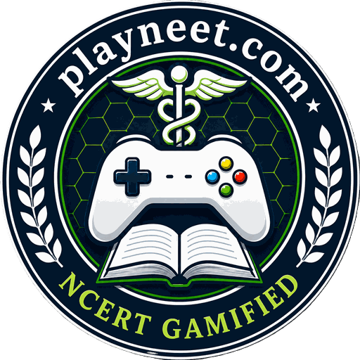 PlayNEET